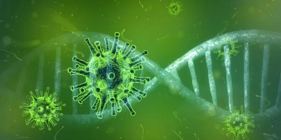 New initiative to monitor genomic variation in corona virus