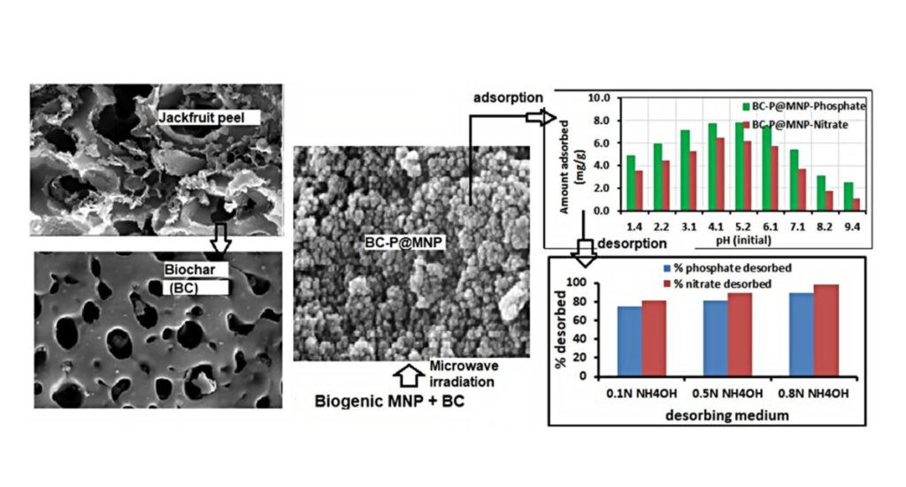 Nano-composites made from jackfruit peel can reduce water pollution