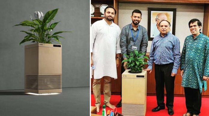 Researchers develop 'air-purifier' made from plants