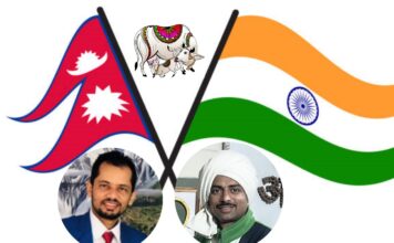 भारत नेपाल विशेषज्ञ टीम देशी गायोंके महत्व पर शोध कर रही है India Nepal expert team is researching the importance of indigenous cows